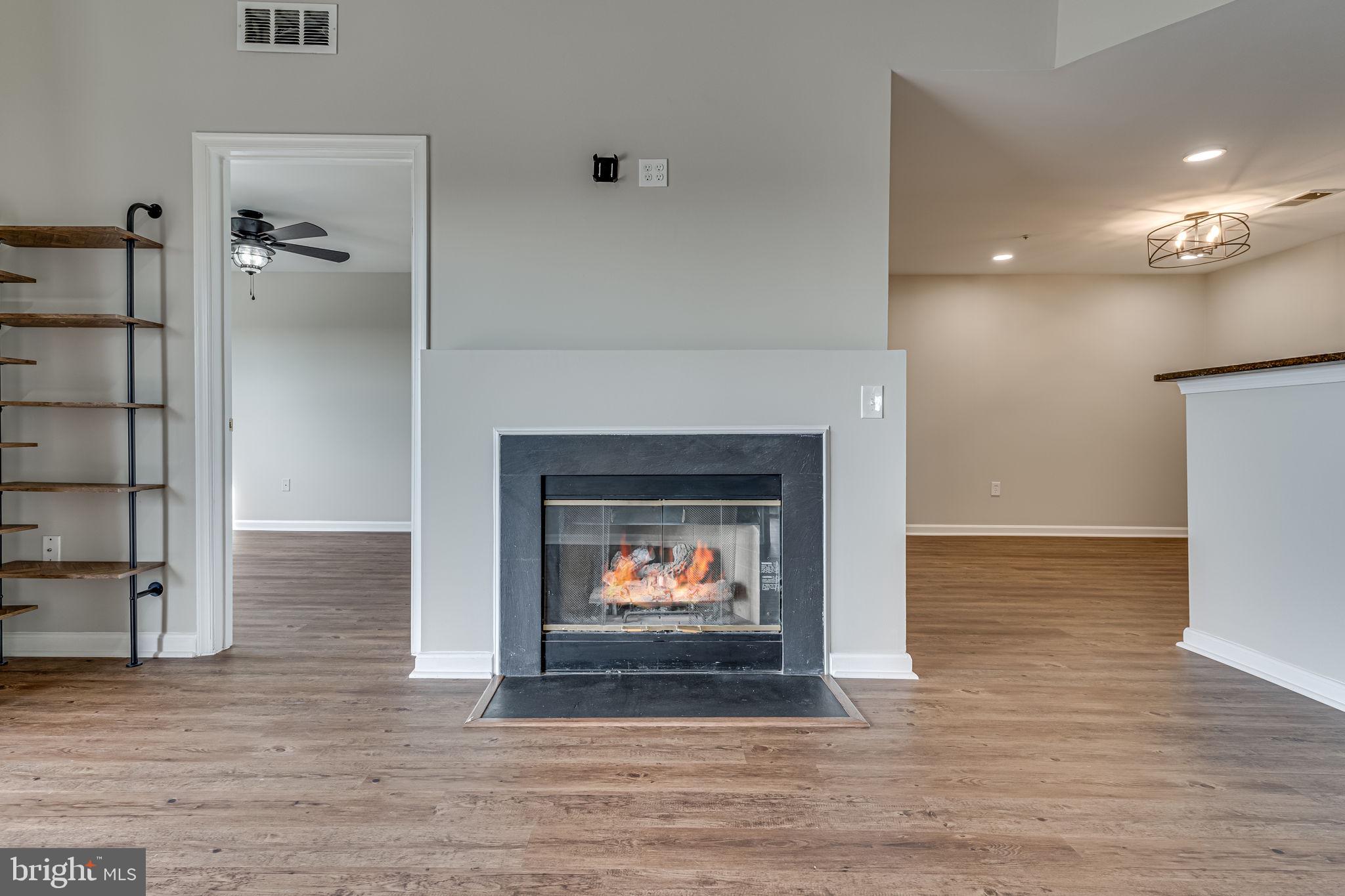 1067 Gardenview Loop, Unit 304 Woodbridge, VA 22191 - Photo 6 of 36 a living room with furniture and a fireplace