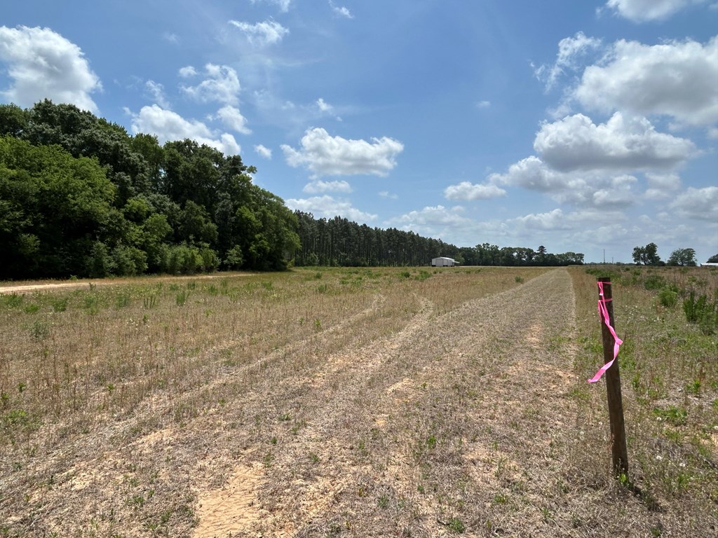 10907-44 -ac) Cty Road Hartford, AL 36344 - Photo 32 of 52