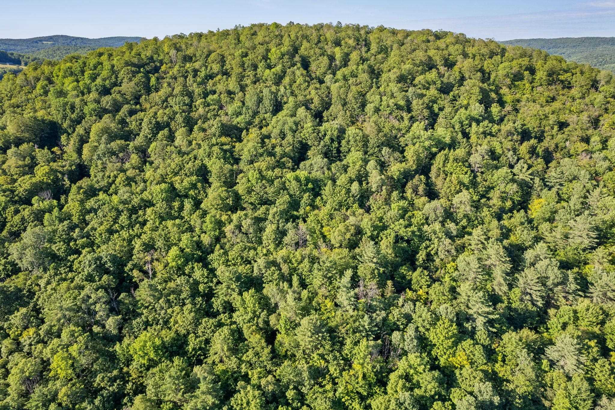 0 Kidder Drive Brookfield, VT 05036 - Photo 10 of 12