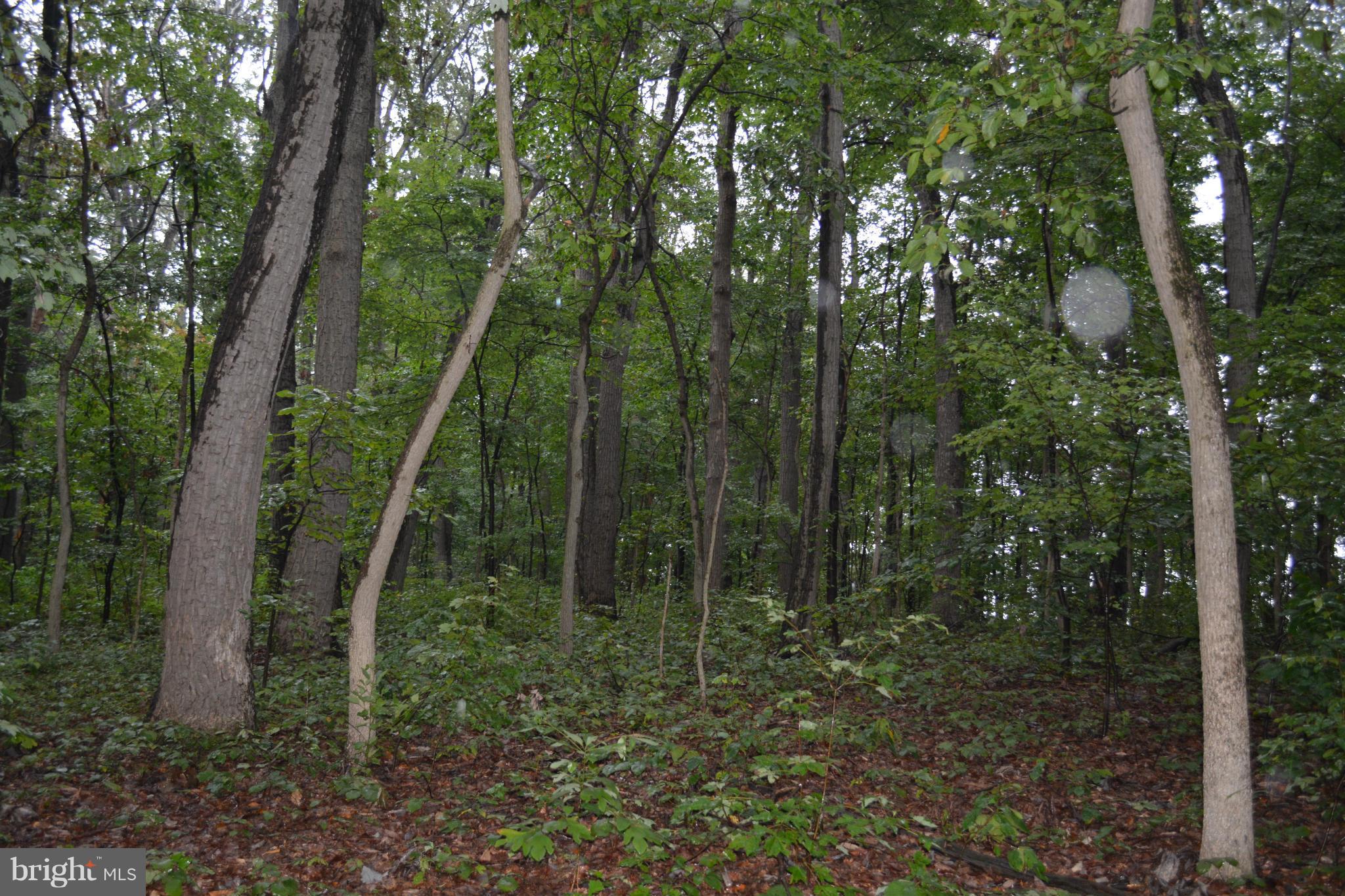 Mt Zion Road Upperco, MD 21155 - Photo 4 of 8 Exterior (General)