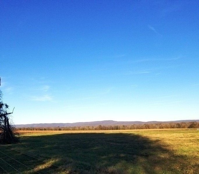 1248 Rutledge Ford Road Decherd, TN 37324 - Photo 2 of 13
