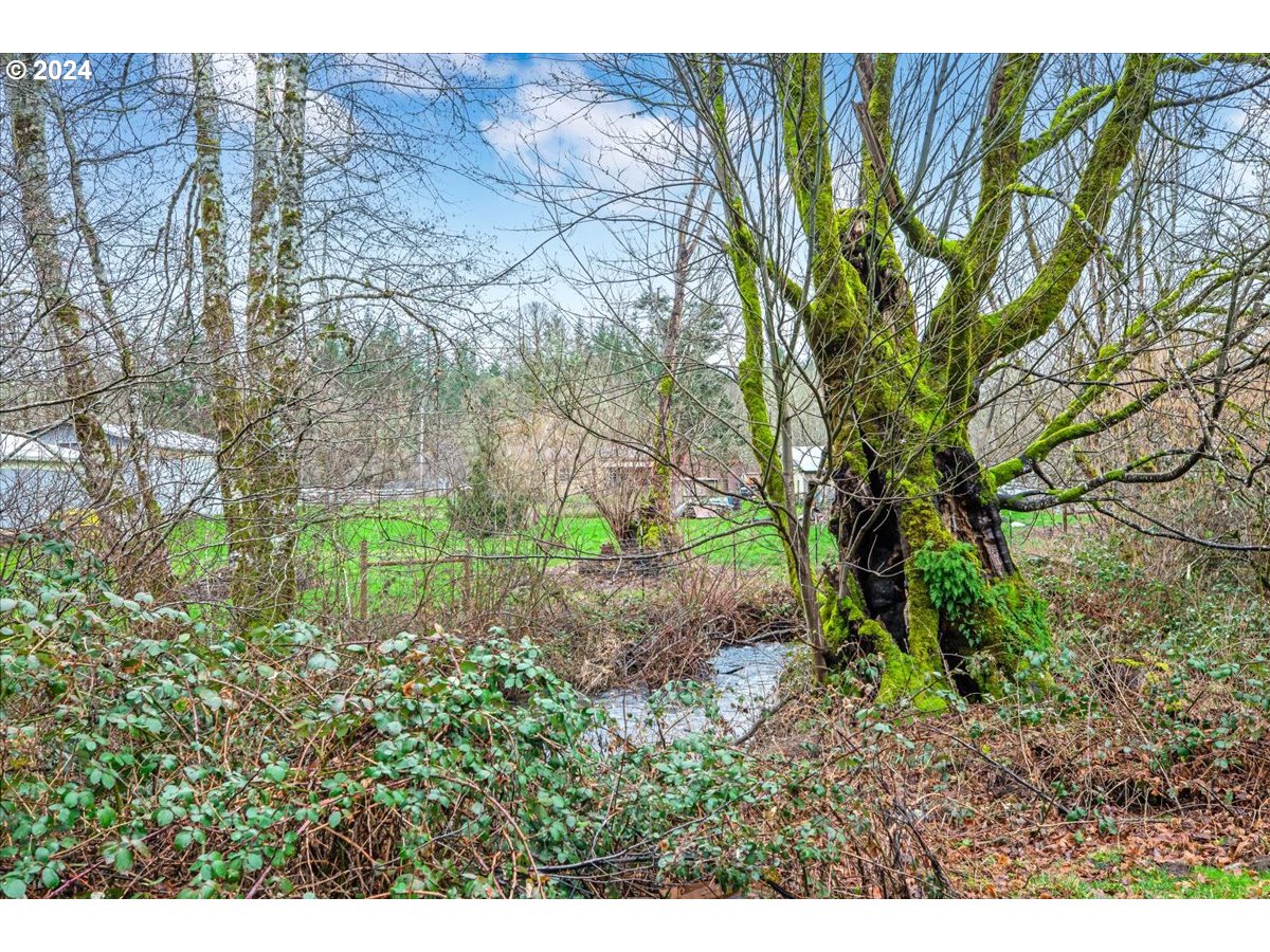 29700 Joe Day Way Grand Ronde, OR 97347 - Photo 13 of 18 a view of backyard with green space
