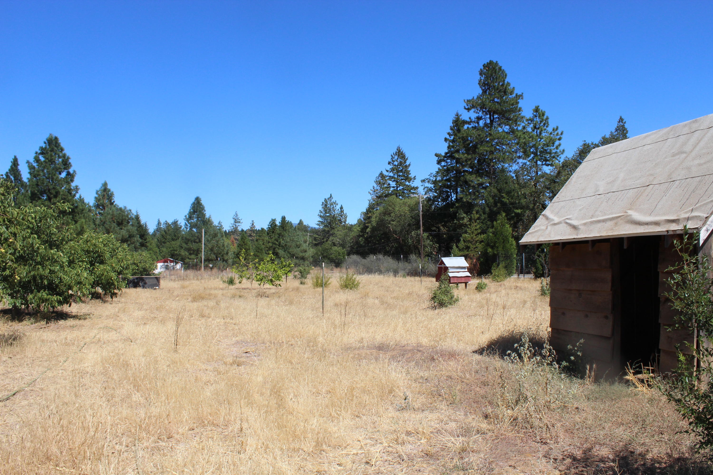 6855 West Side Road Cave Junction, OR 97523 - Photo 41 of 45 IMG_2619