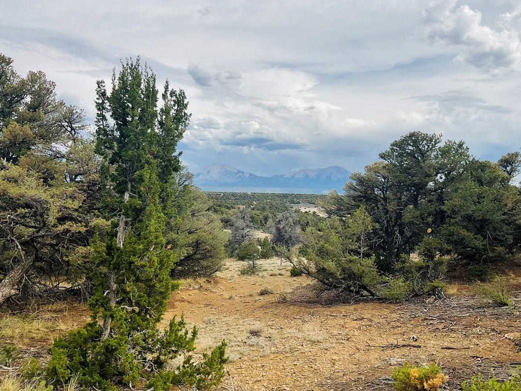 Lot 17 Navajo Ranch Walsenburg, CO 81089 - Photo 16 of 26 a view of a yard