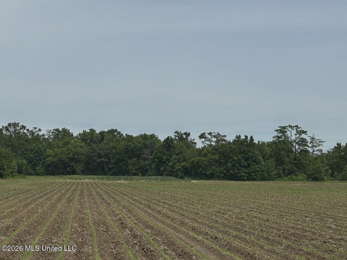 Browning Road Greenwood, MS 38930 - Photo 1 of 1 IMG_7088