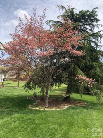 a view of a garden with flowers and trees