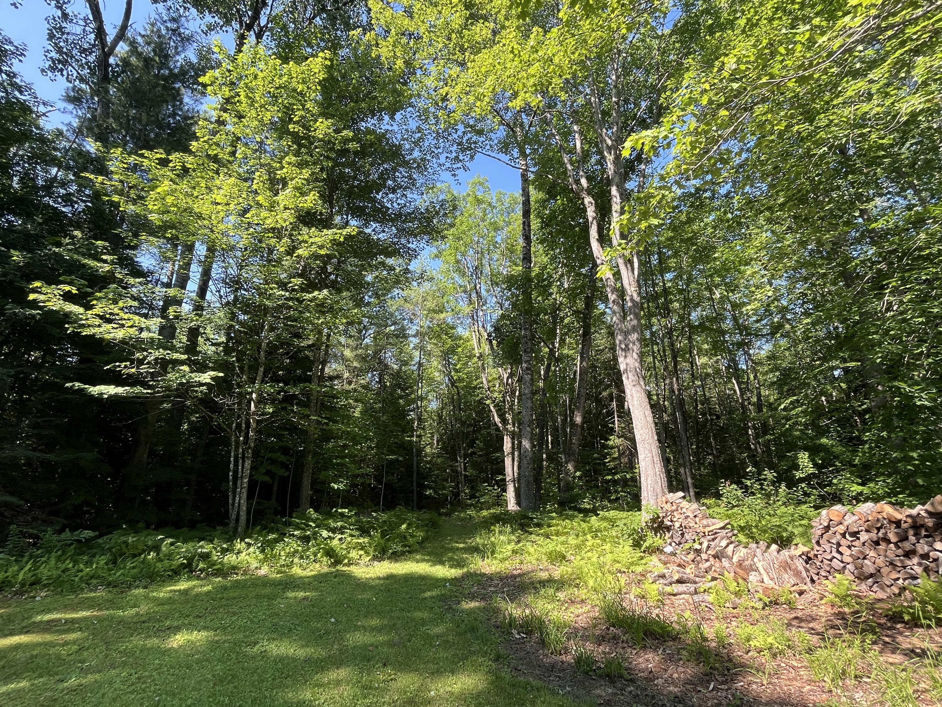273 Rome Road Mercer, ME 04957 - Photo 21 of 50 IMG_7095