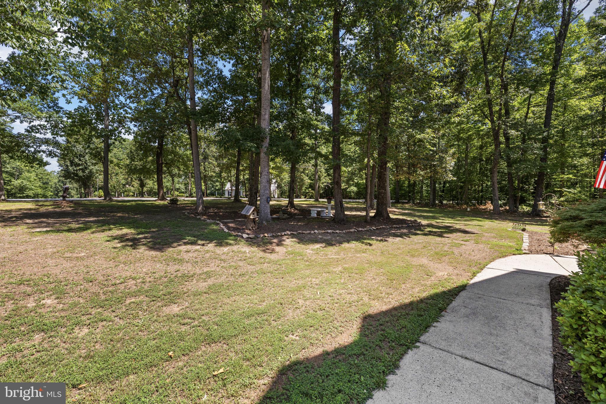 621 Ridgemont Drive Louisa, VA 23093 - Photo 70 of 81 Front Yard