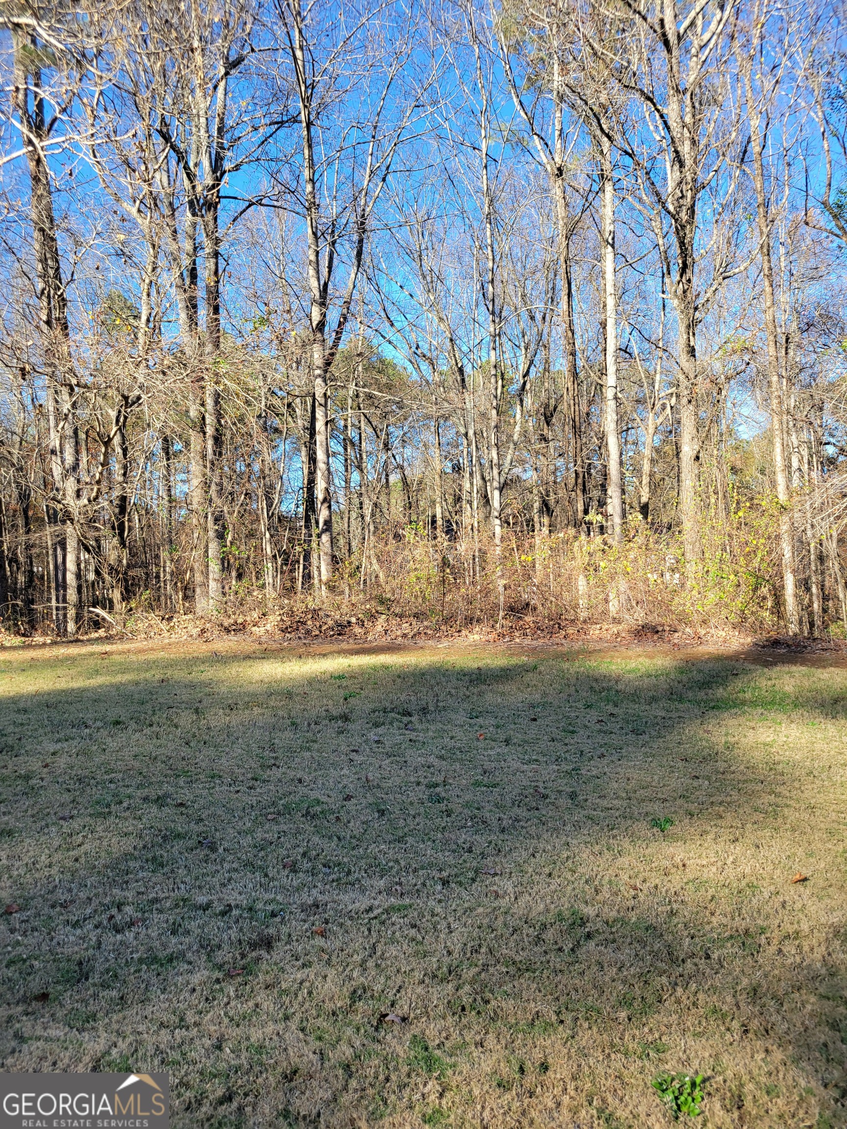 6930 Black Fox Lane Cumming, GA 30040 - Photo 2 of 3 Street view 2