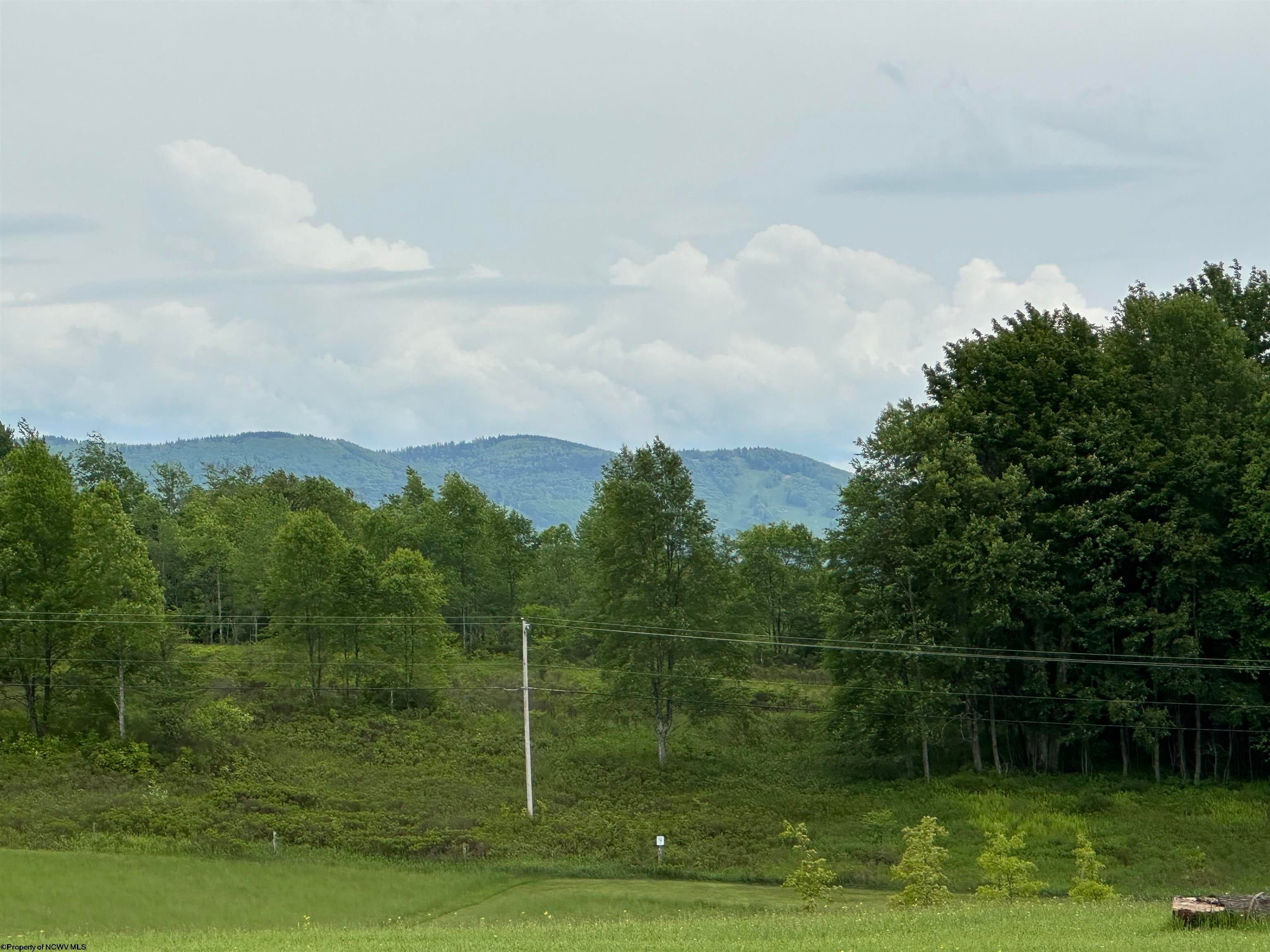 Lot 59 View Ridge Davis, WV 26260 - Photo 11 of 19 Gallery Image 11