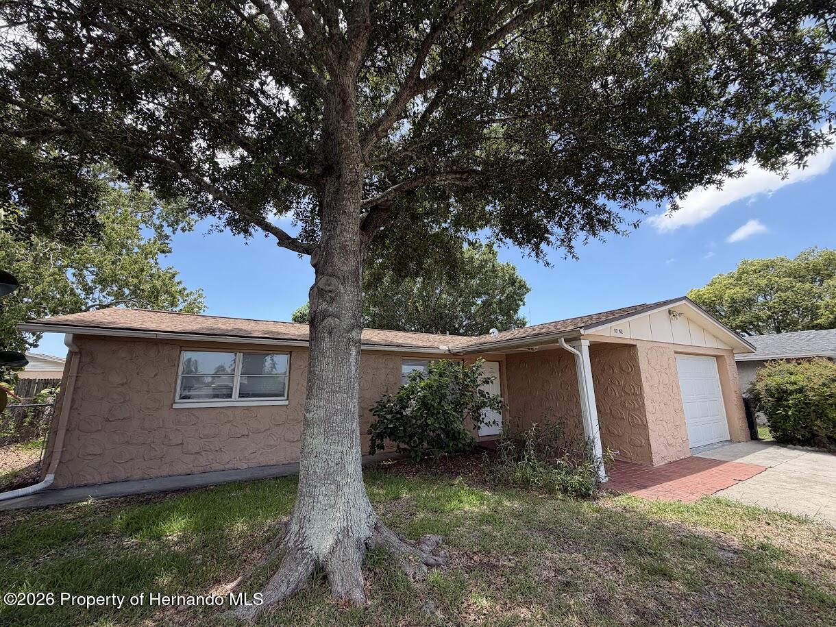3742 Darlington Road Holiday, FL 34691 - Photo 5 of 21