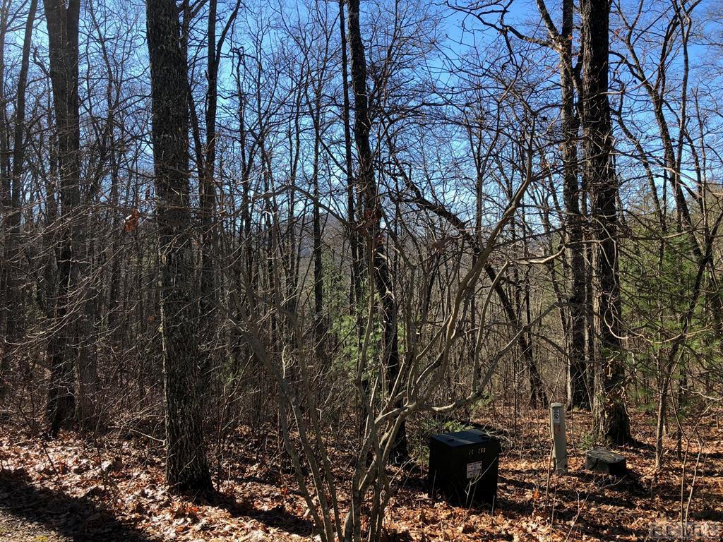 Lot 11 Shepherds Gap Road Cullowhee, NC 28723 - Photo 5 of 13 Gallery Image 5