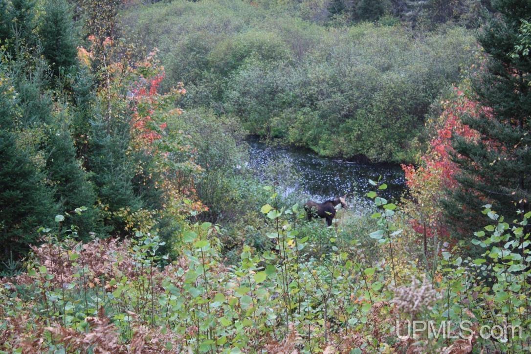 Tbd Lukes Road Amasa, MI 49903 - Photo 11 of 24