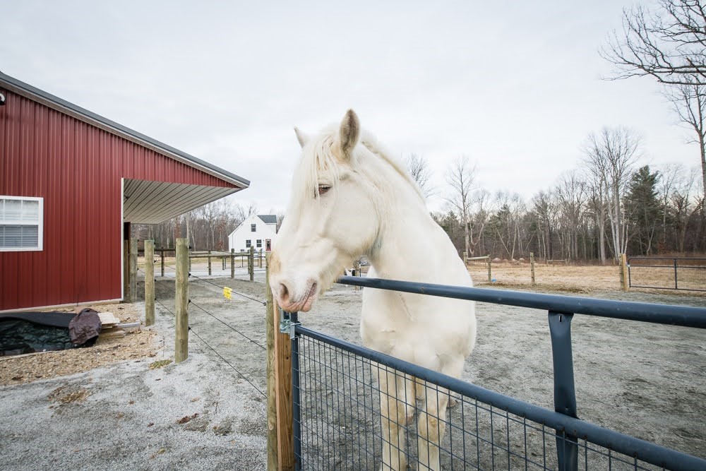 190 Escoheag Hill Road Exeter, RI 02822 - Photo 9 of 45