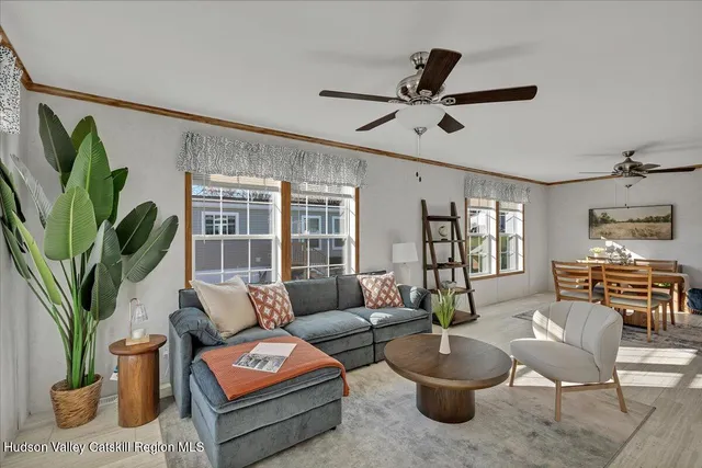 a living room with furniture potted plant and a window