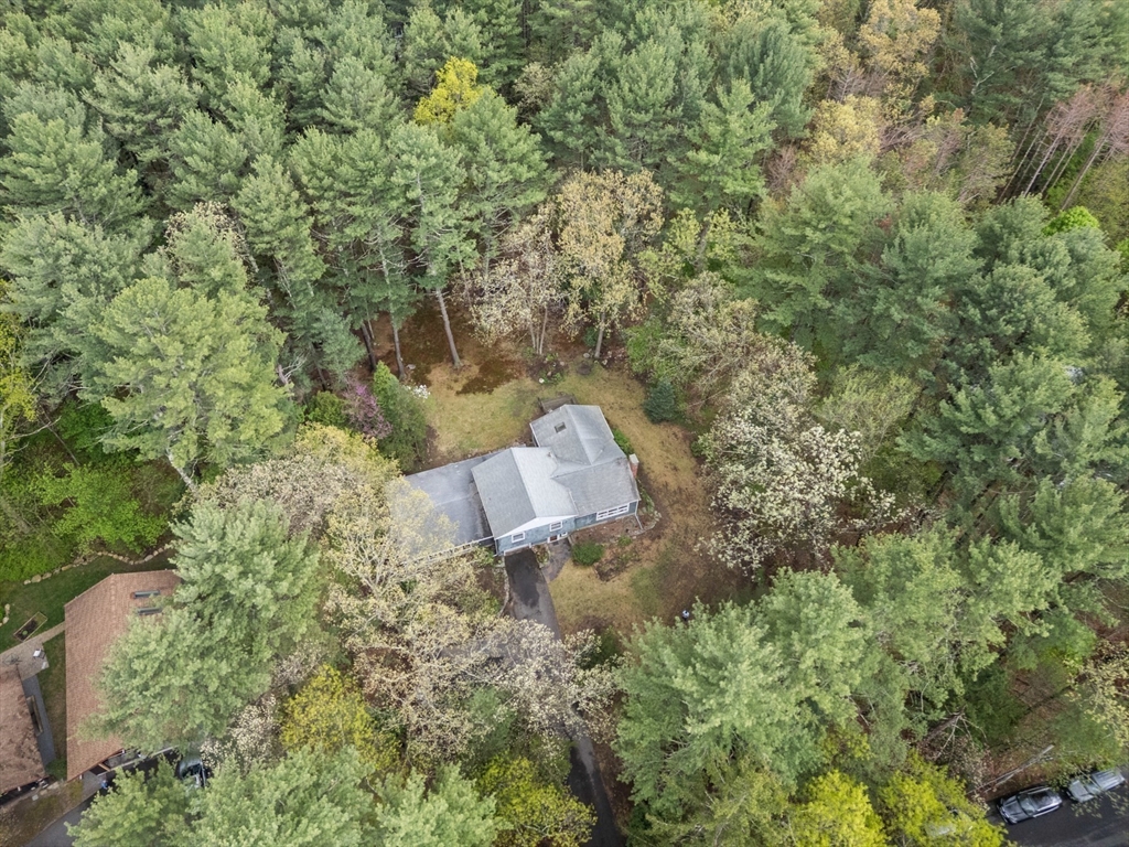 9 Flagg Road Acton, MA 01720 - Photo 3 of 42