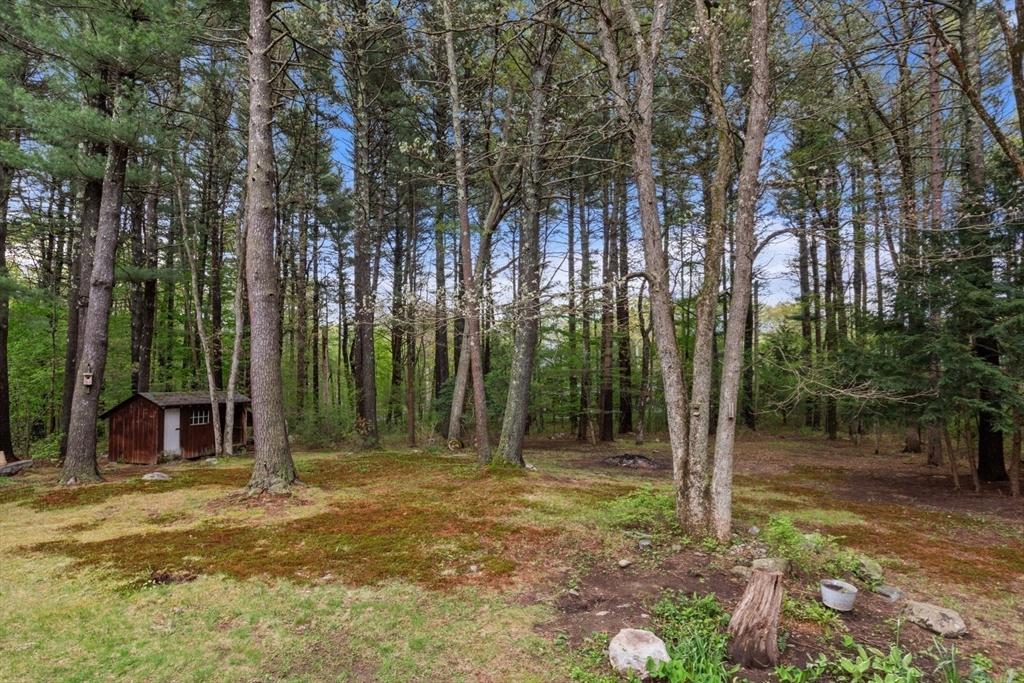 9 Flagg Road Acton, MA 01720 - Photo 4 of 42