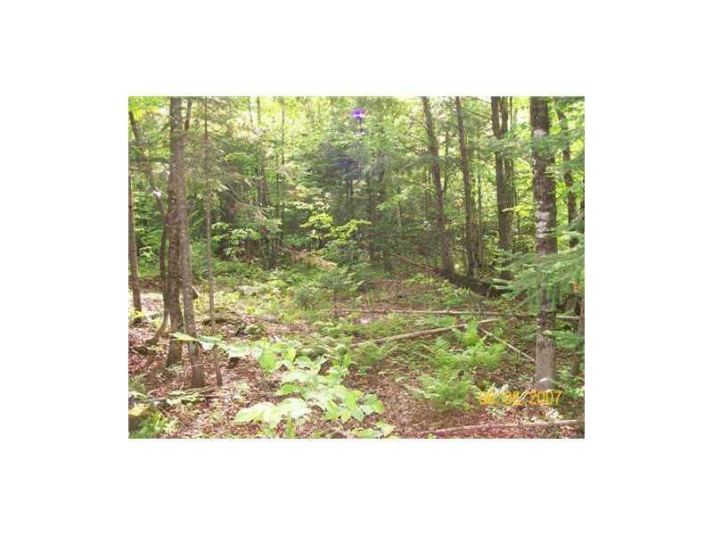 Lot 5 Turner Road Sangerville, ME 04479 - Photo 6 of 19 Land.