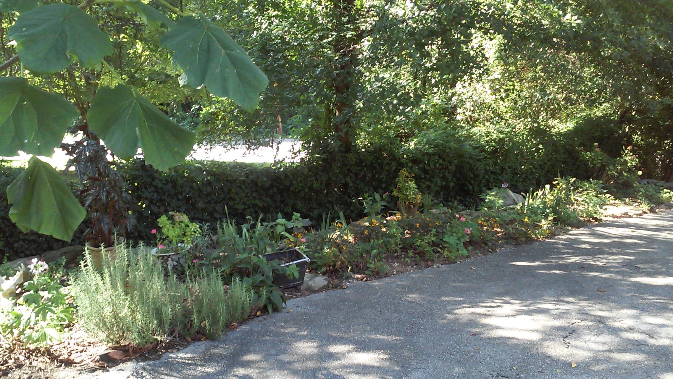 3620 Kings Road Chattanooga, TN 37416 - Photo 44 of 64 0826151633