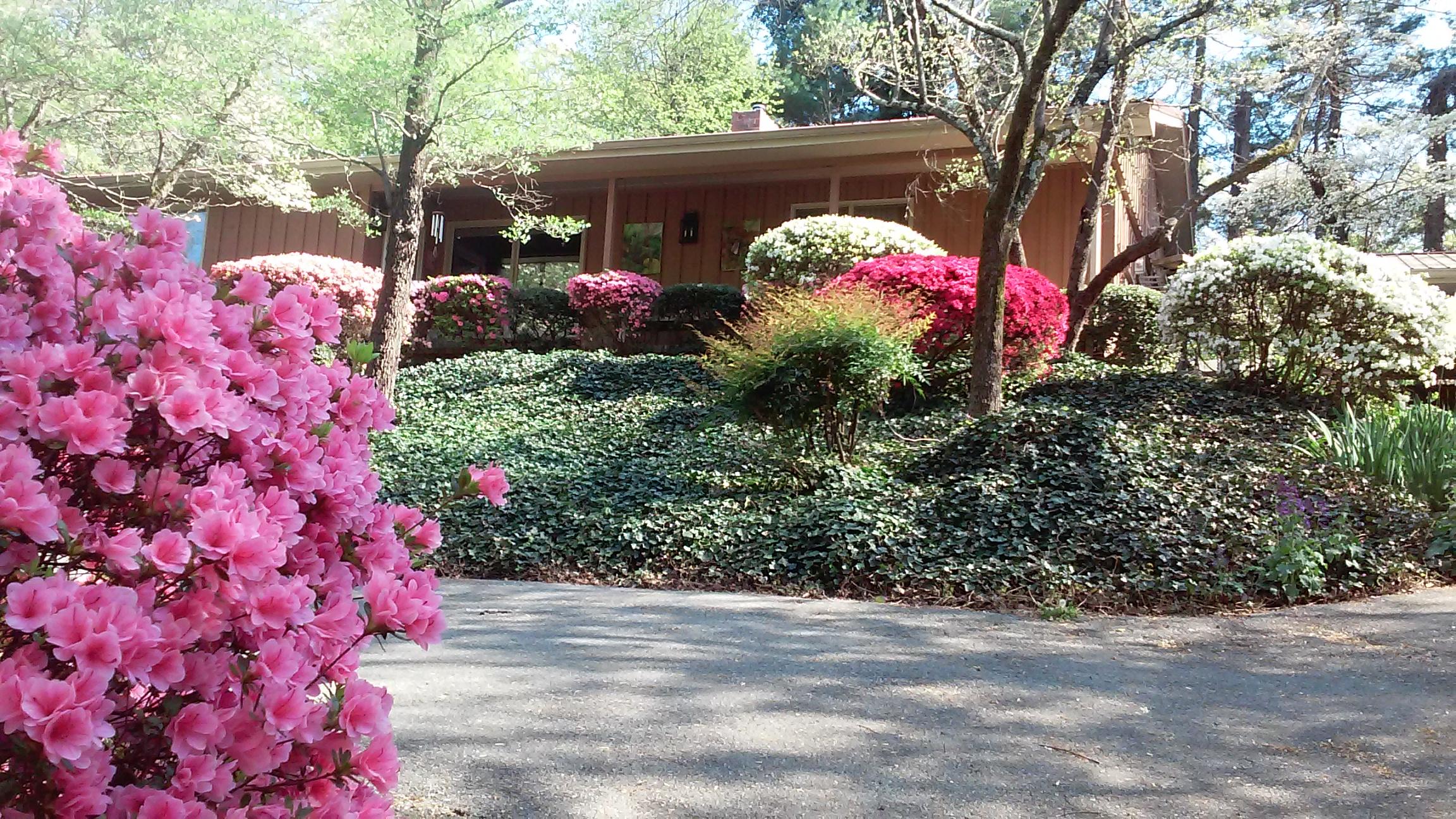 3620 Kings Road Chattanooga, TN 37416 - Photo 49 of 64 0404161639