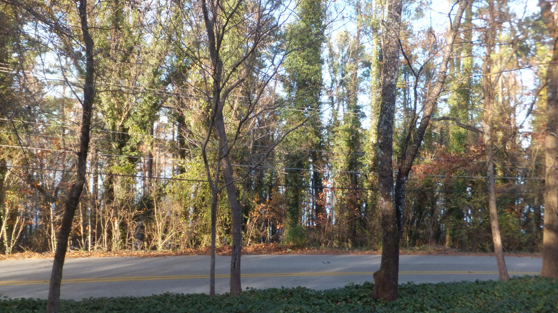 3620 Kings Road Chattanooga, TN 37416 - Photo 63 of 64 Kings Rd 12-2-16 005
