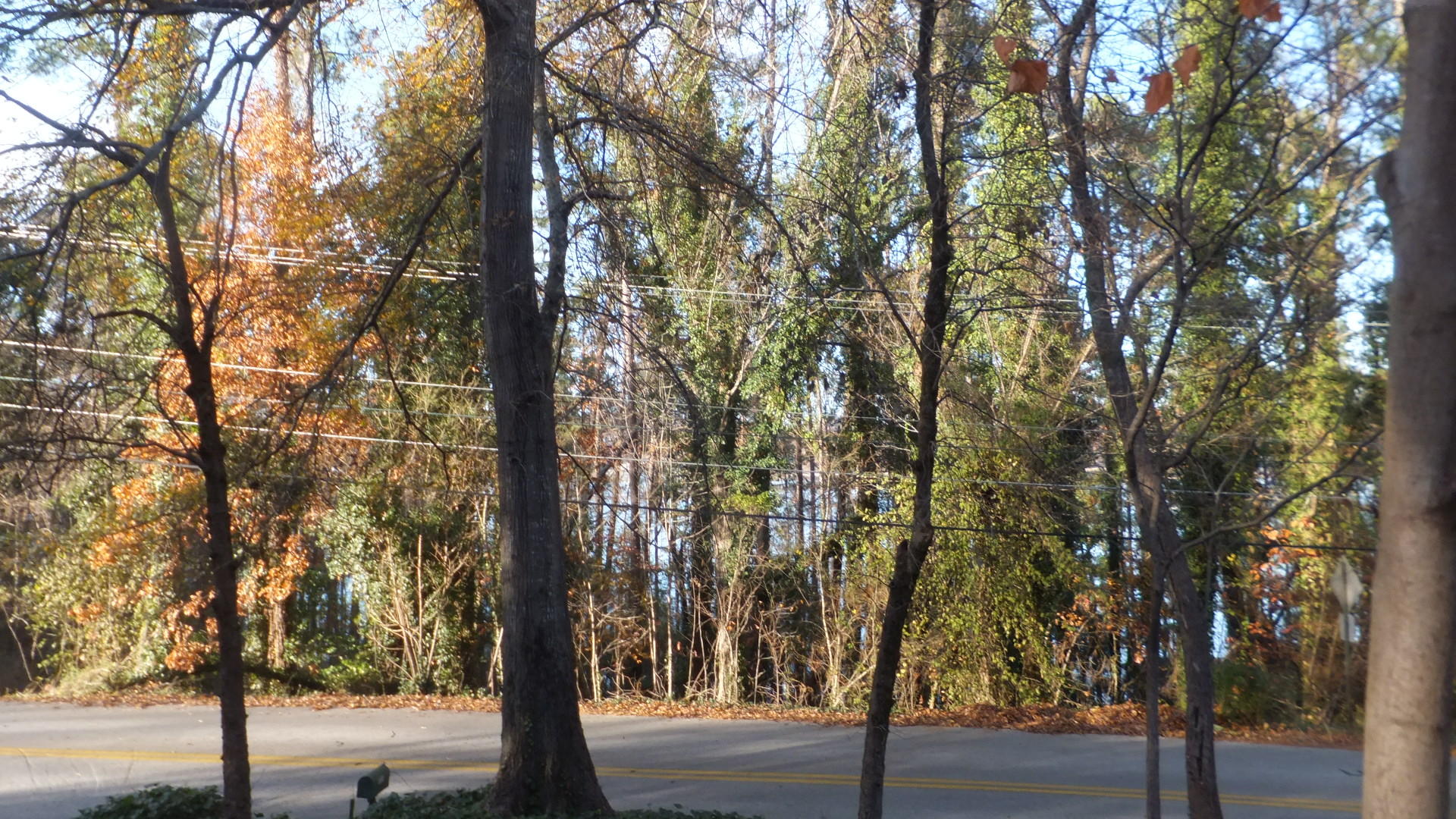 3620 Kings Road Chattanooga, TN 37416 - Photo 64 of 64 Kings Rd 12-2-16 006