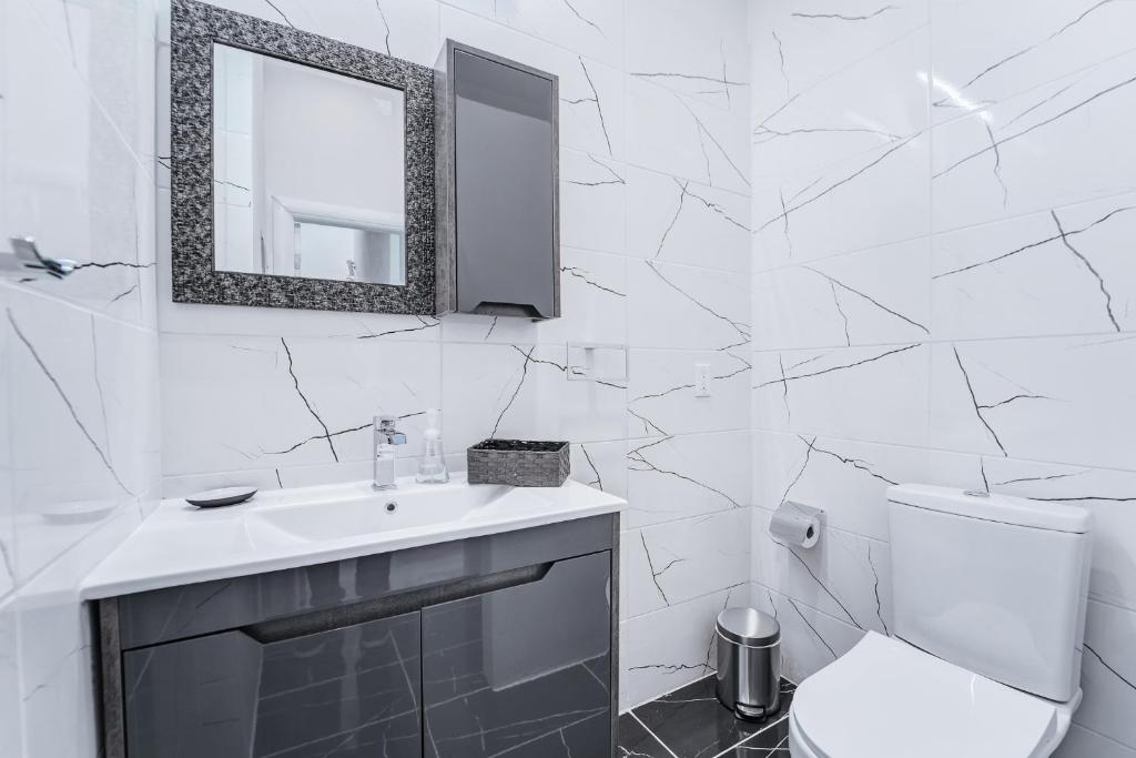 1409 East M. Franklin Avenue, Unit B Austin, TX 78721 - Photo 28 of 40 a bathroom with a toilet sink and mirror