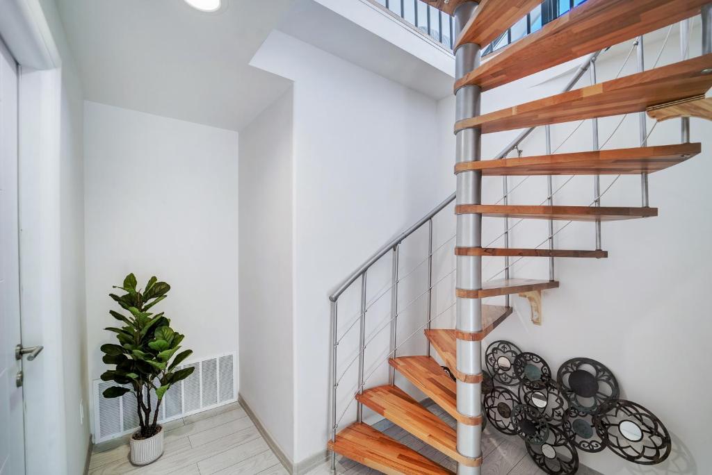 1409 East M. Franklin Avenue, Unit B Austin, TX 78721 - Photo 34 of 40 a view of staircase with a potted plant and a window