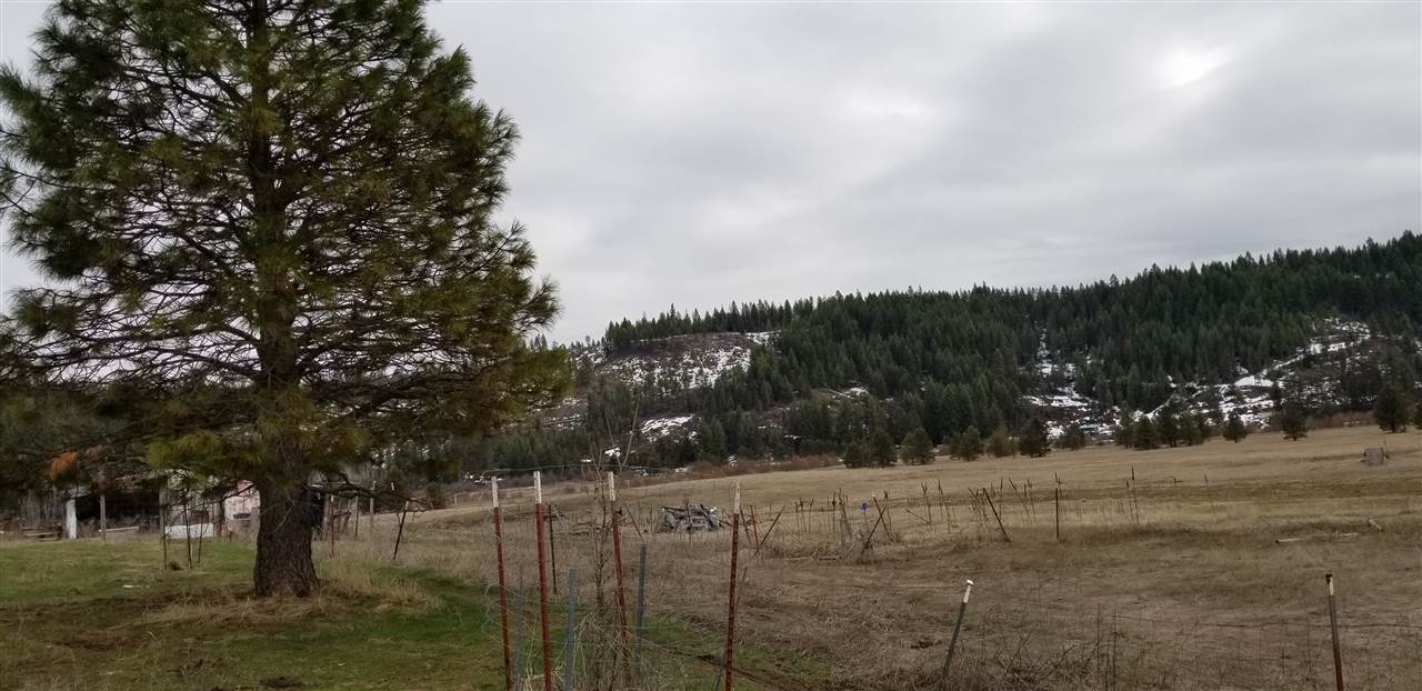4755 Springdale-Hunters Road Springdale, WA 99173 - Photo 6 of 12