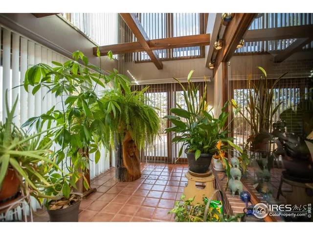 a view of a potted plant with a tree in front
