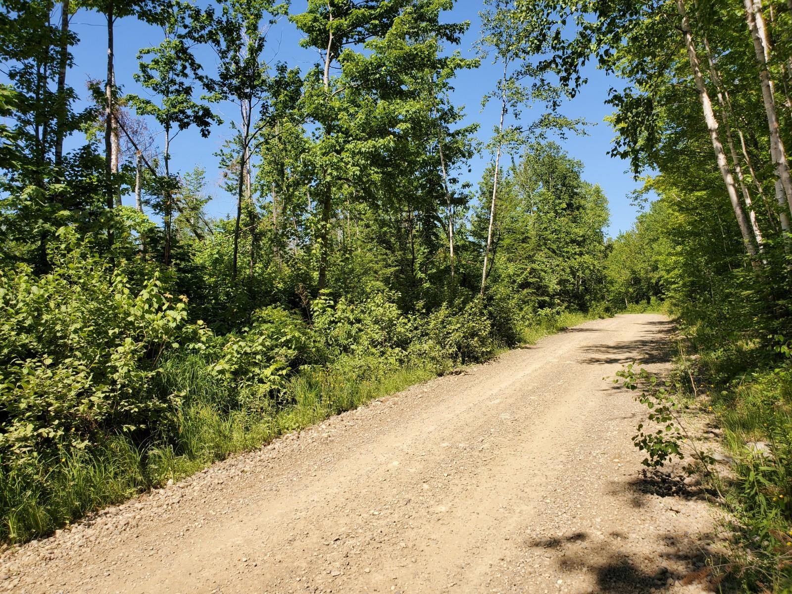 Lot #1 Mountain Road Hersey, ME 04780 - Photo 2 of 3 20200616_101741