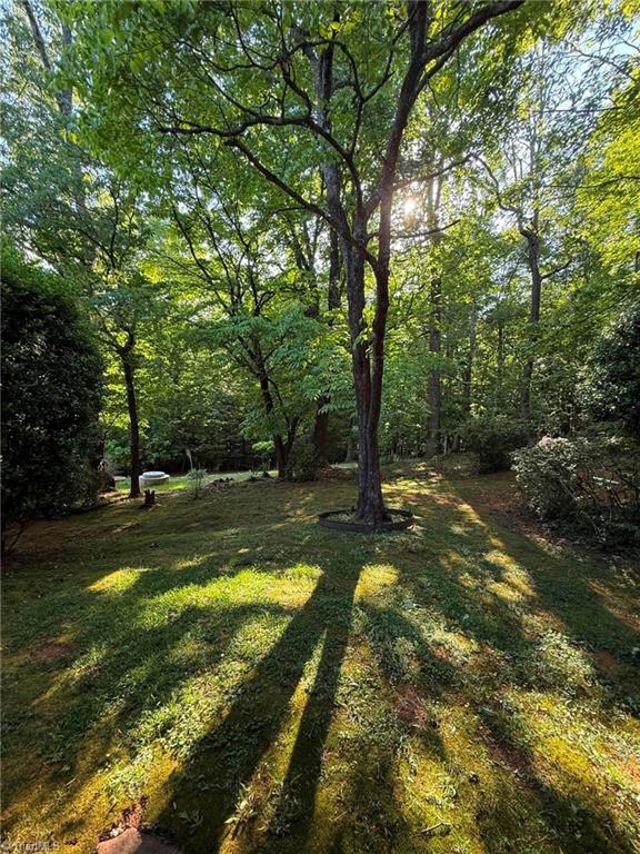 2 Hunting Country Trail Tryon, NC 28782 - Photo 42 of 43