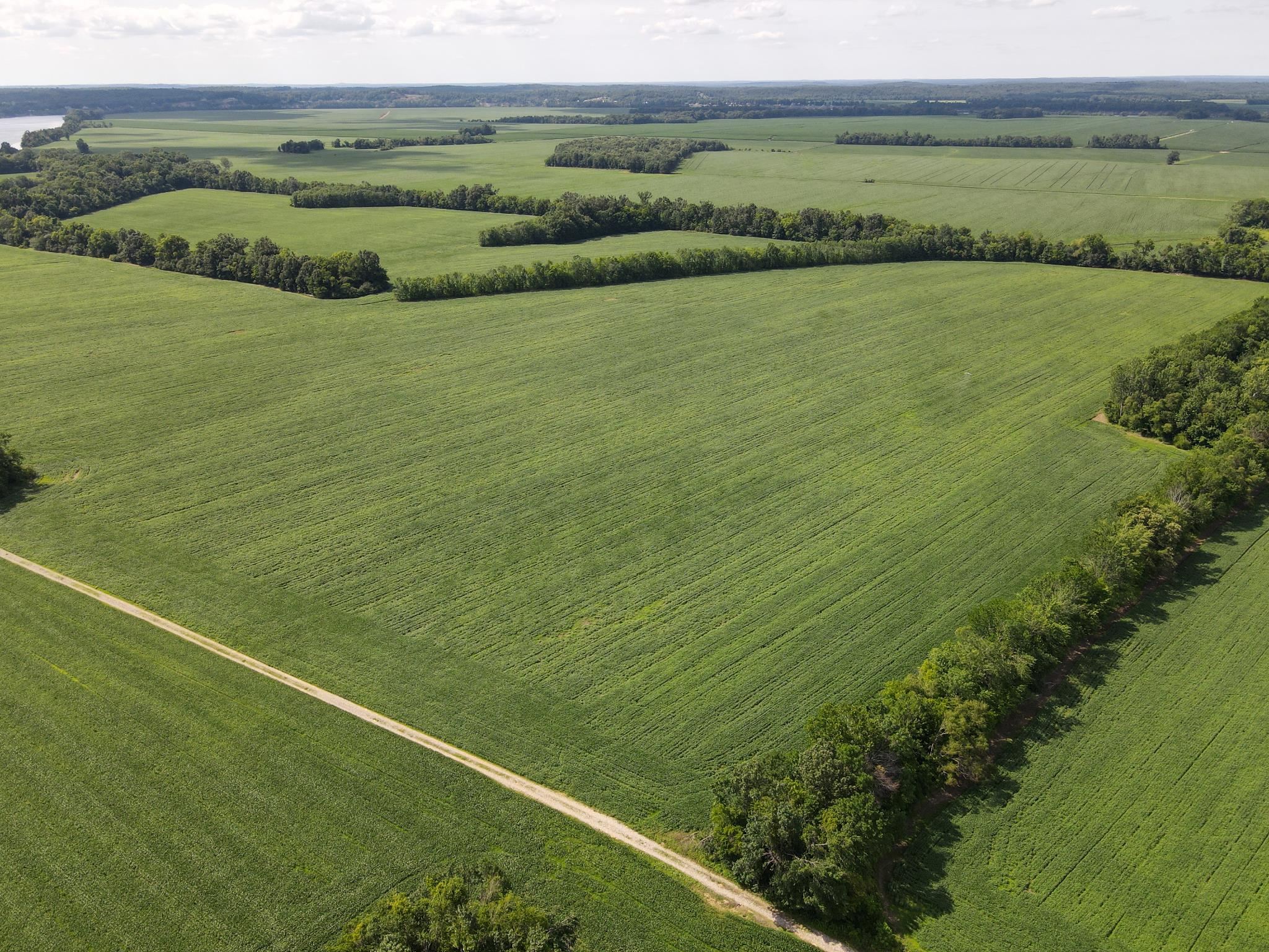859 Cravens Road Savannah, TN 38372 - Photo 14 of 40 a view of a field with an ocean view