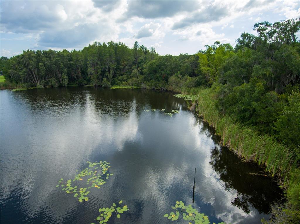 Carson Drive Land O Lakes, FL 34639 - Photo 13 of 15