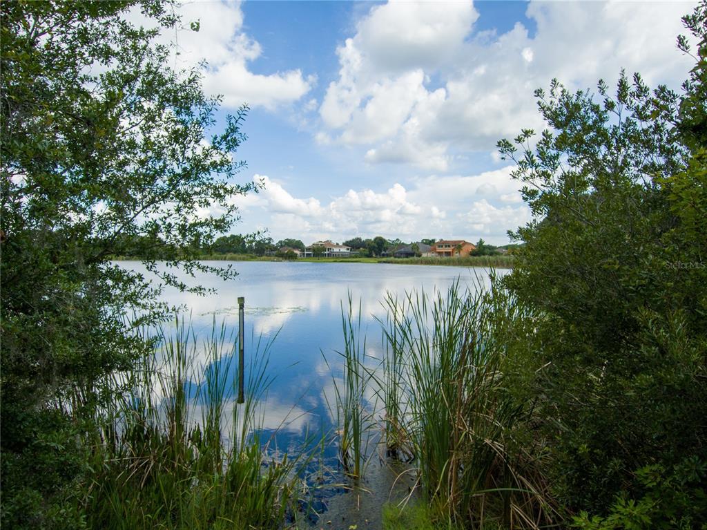 Carson Drive Land O Lakes, FL 34639 - Photo 14 of 15