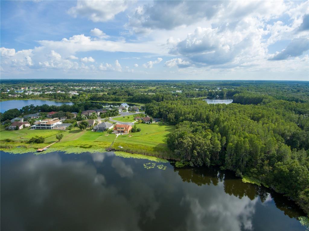 Carson Drive Land O Lakes, FL 34639 - Photo 6 of 15