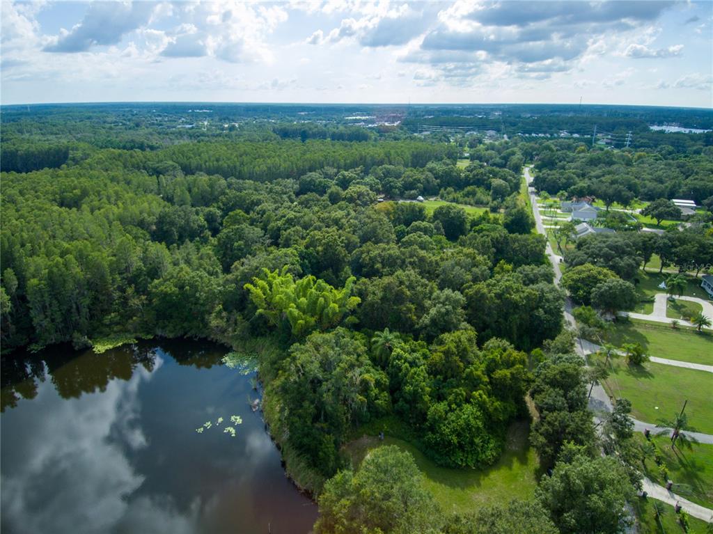 Carson Drive Land O Lakes, FL 34639 - Photo 7 of 15