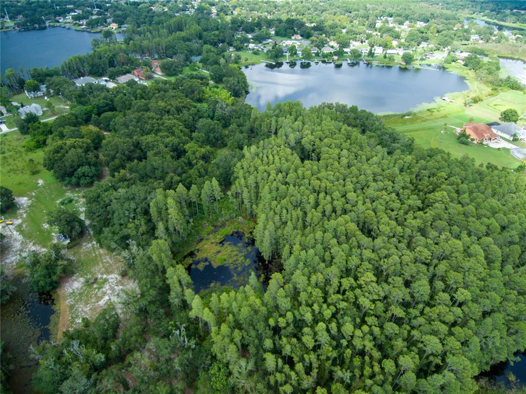 Carson Drive Land O Lakes, FL 34639 - Photo 10 of 15
