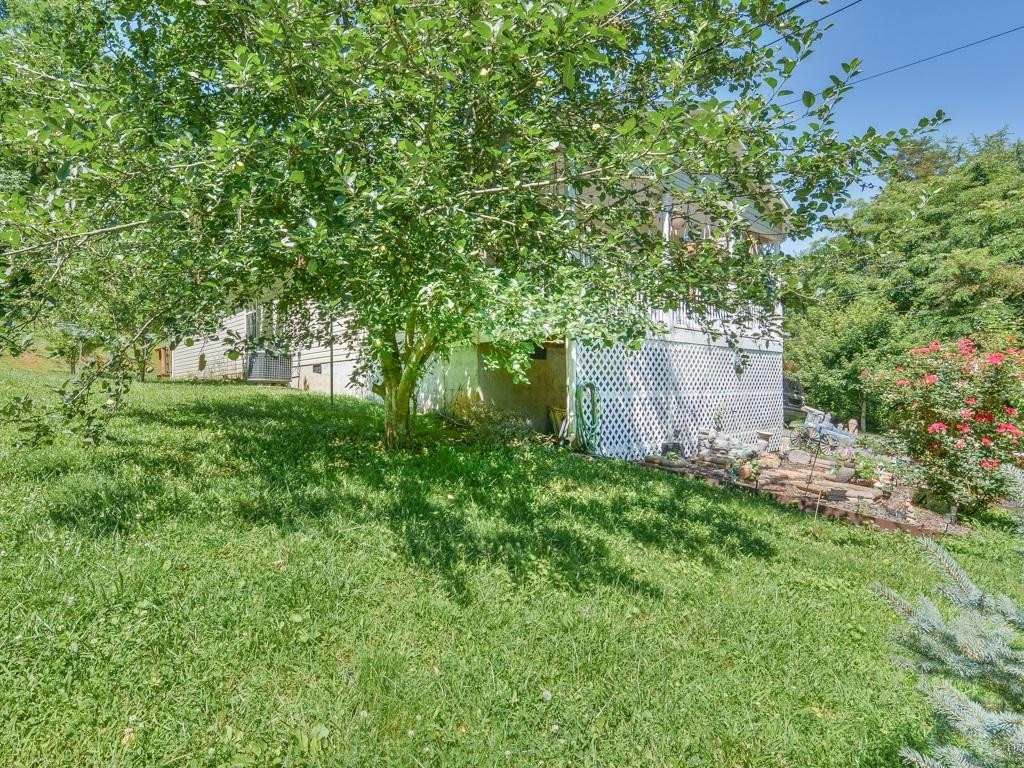 222 Marion Branch Road Elizabethton, TN 37643 - Photo 5 of 30 Plenty of privacy from road
