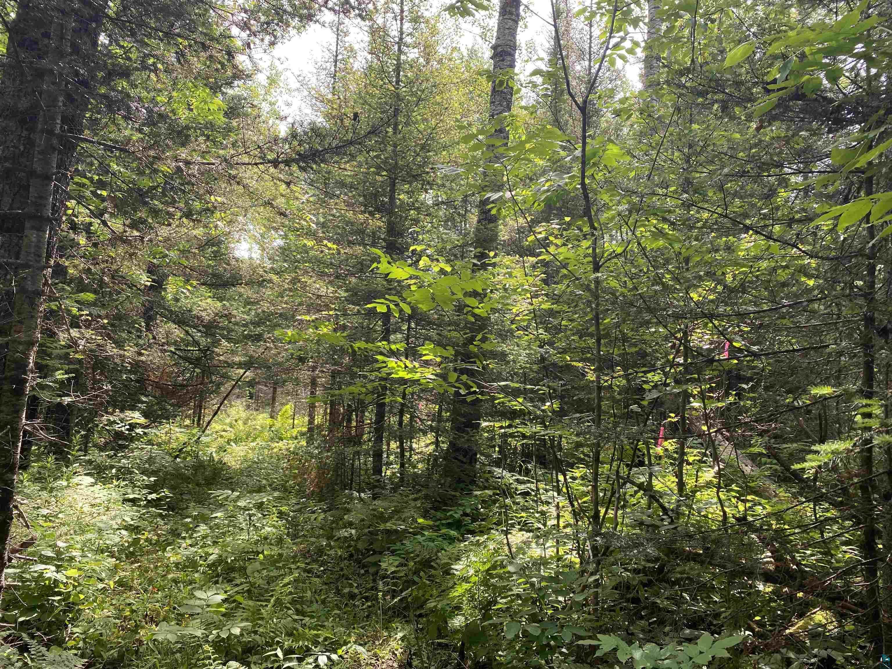 Xx Arnold Road Duluth, MN 55803 - Photo 1 of 12