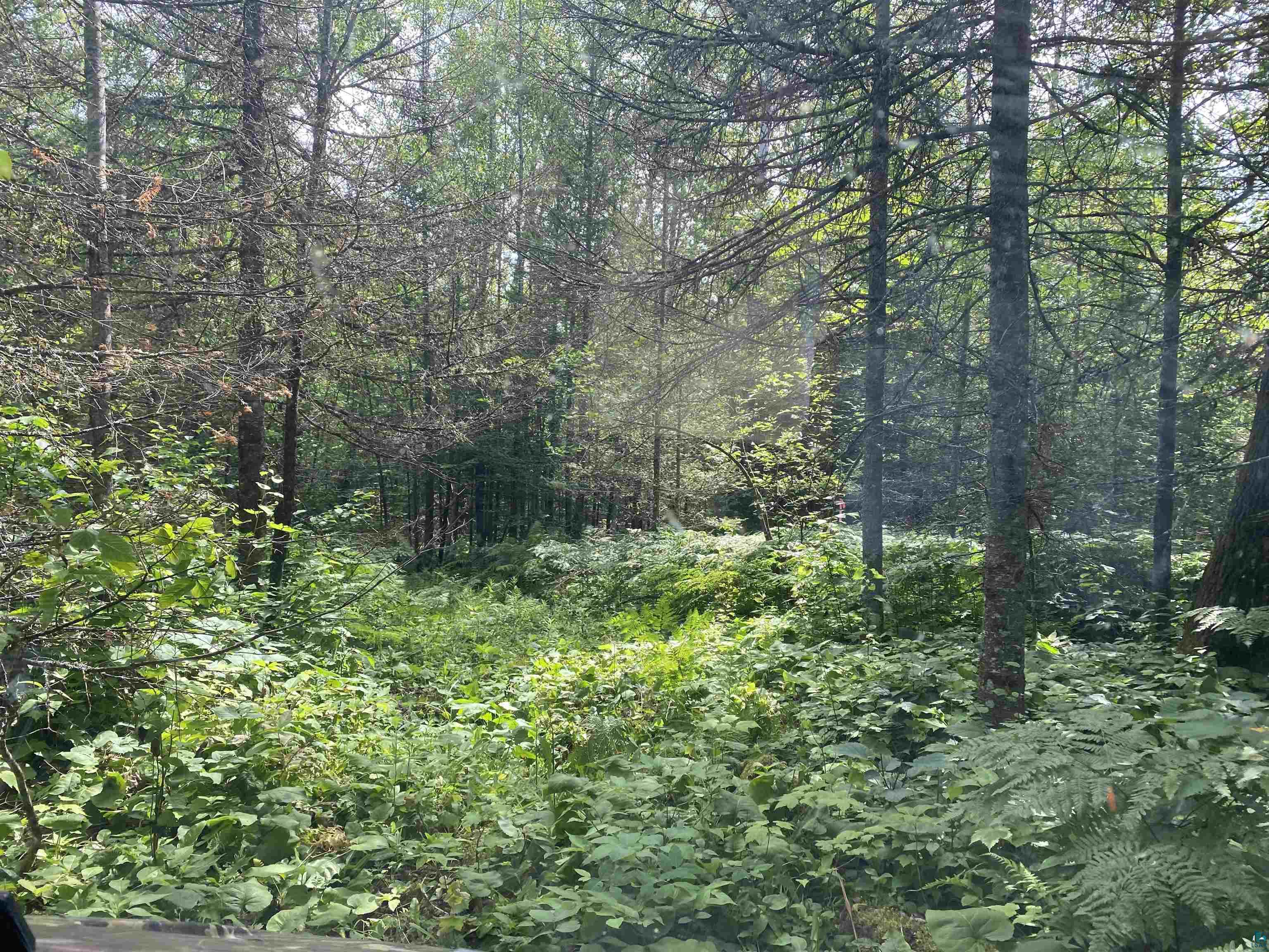Xx Arnold Road Duluth, MN 55803 - Photo 2 of 12