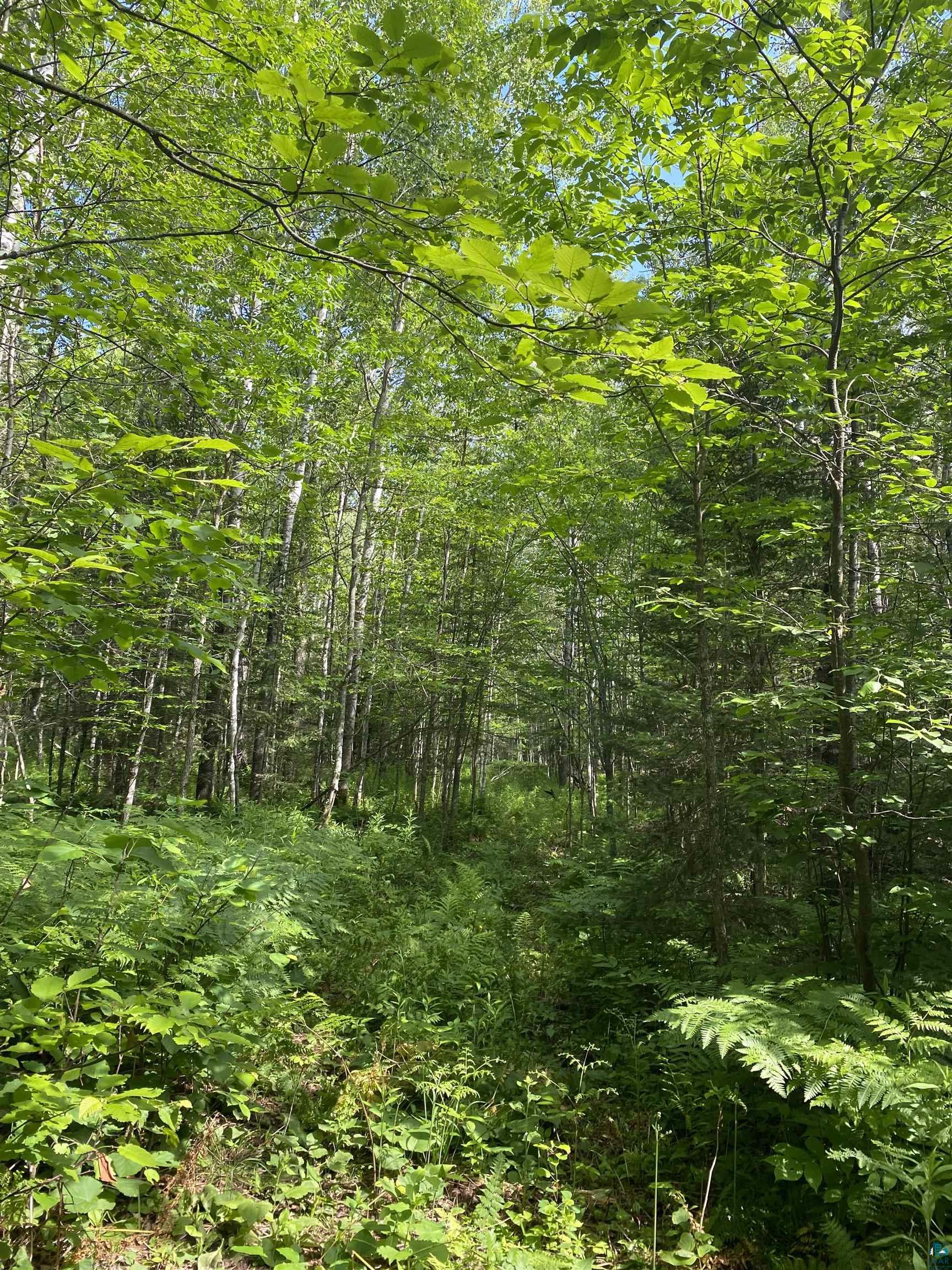 Xx Arnold Road Duluth, MN 55803 - Photo 3 of 12