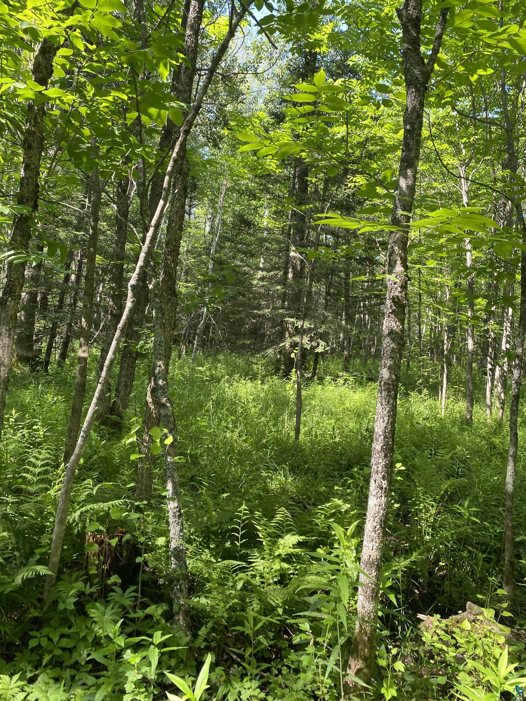 Xx Arnold Road Duluth, MN 55803 - Photo 5 of 12