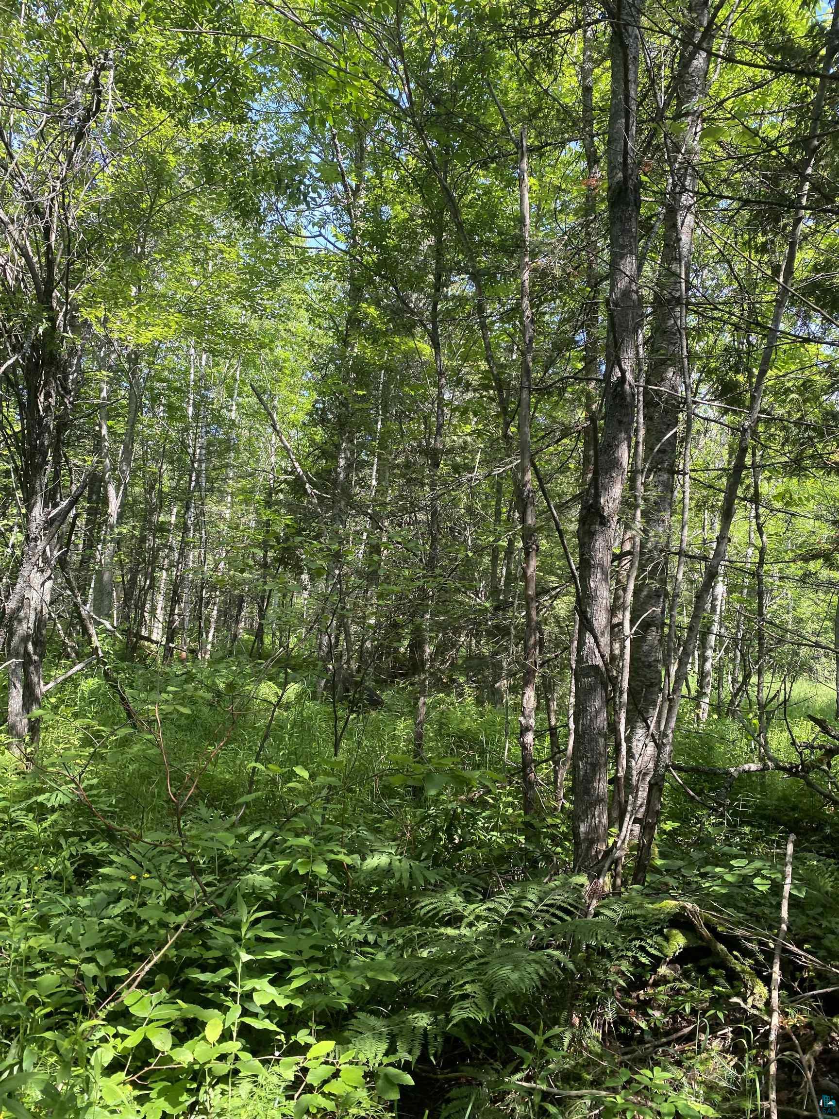 Xx Arnold Road Duluth, MN 55803 - Photo 6 of 12