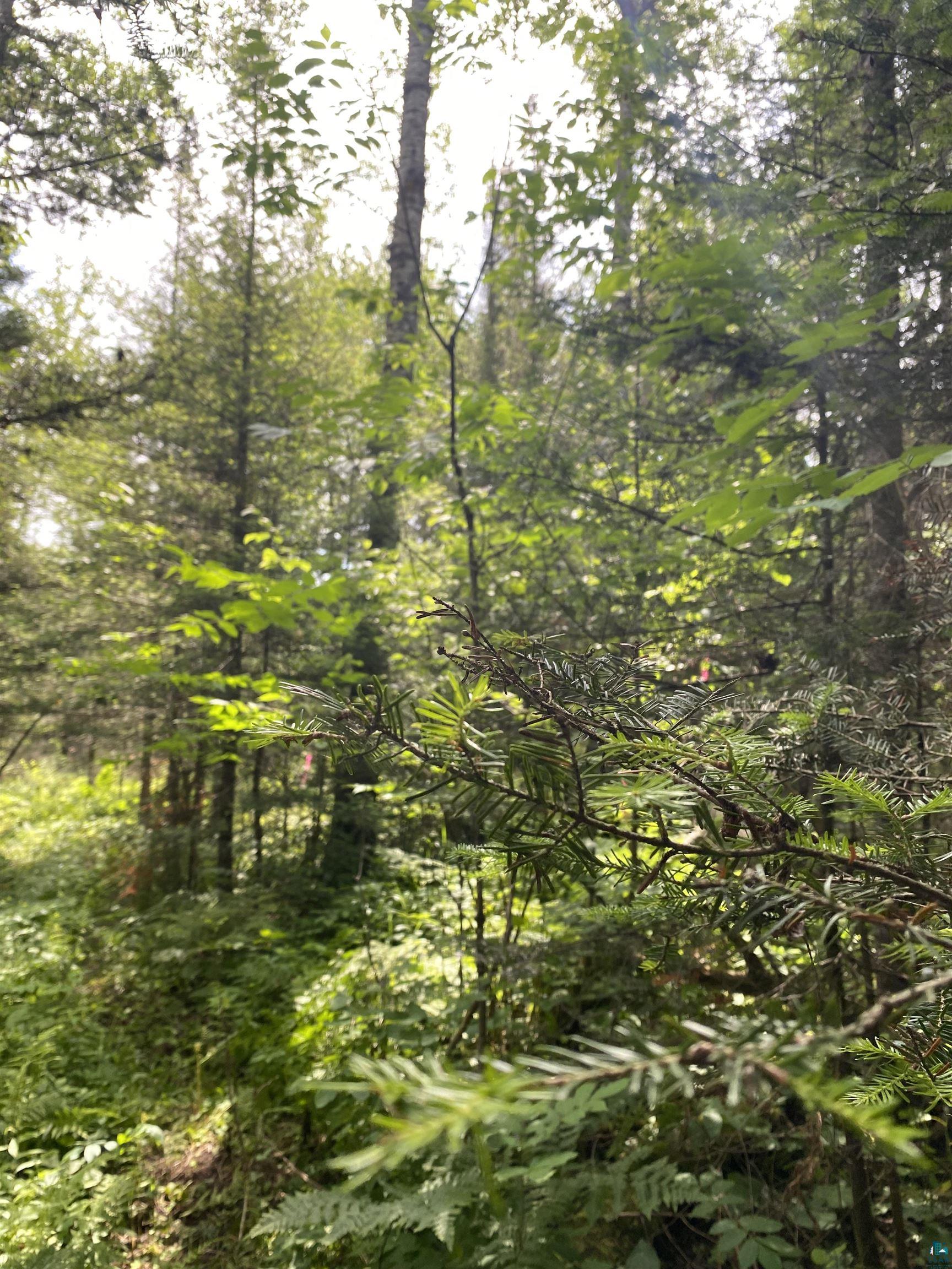 Xx Arnold Road Duluth, MN 55803 - Photo 7 of 12