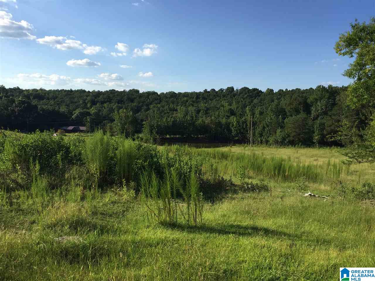 0 Valley Creek Road Piedmont, AL 36272 - Photo 12 of 28