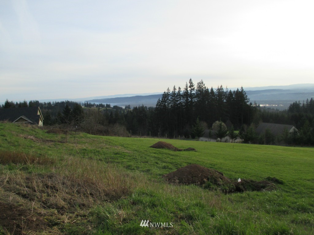 146 Thompson Road Kalama, WA 98625 - Photo 3 of 8 Gallery Image 3