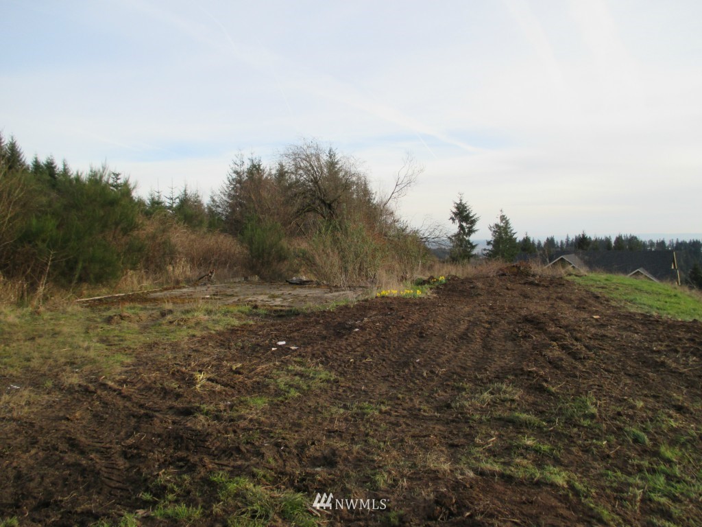 146 Thompson Road Kalama, WA 98625 - Photo 6 of 8 Gallery Image 6