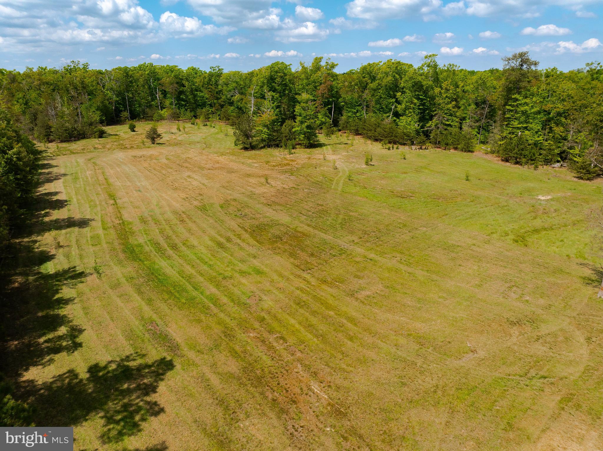 7779 Bumpy Oak Road La Plata, MD 20646 - Photo 53 of 84
