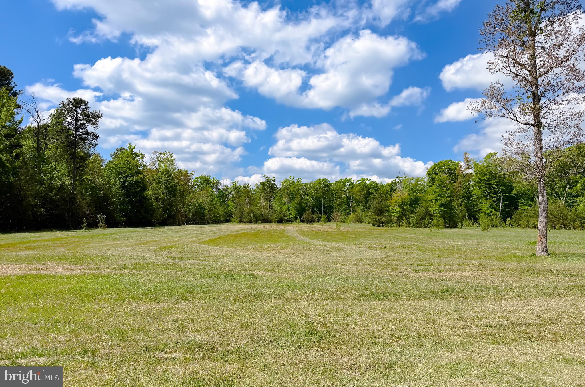 7779 Bumpy Oak Road La Plata, MD 20646 - Photo 74 of 84